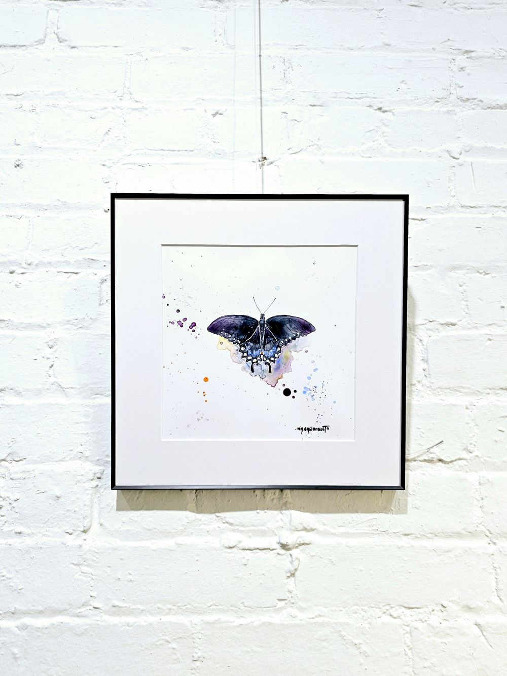 Artwork - California Pipevine Butterfly