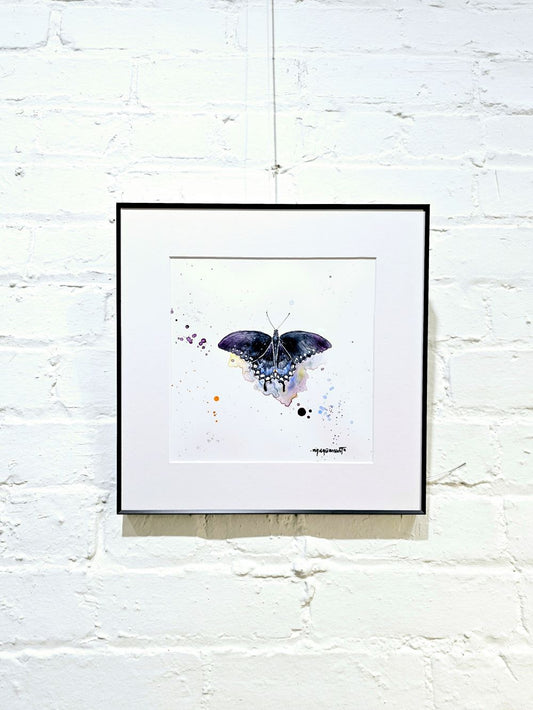 Artwork - California Pipevine Butterfly