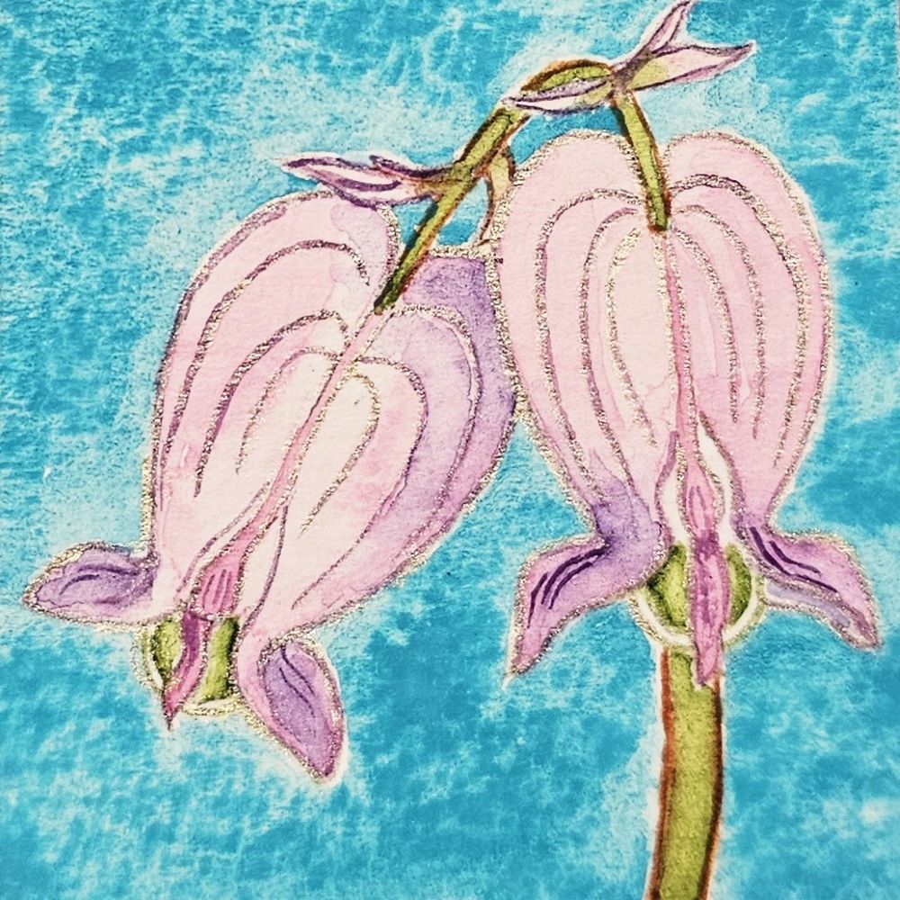 Artwork - Pacific Bleeding Hearts