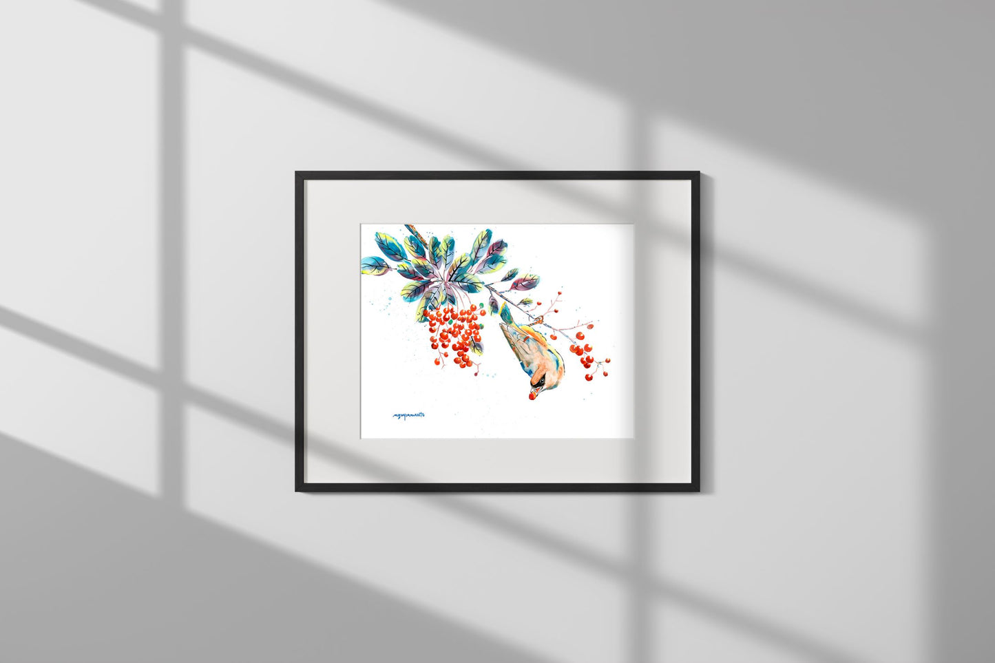 Print - Cedar Waxwing and Toyon