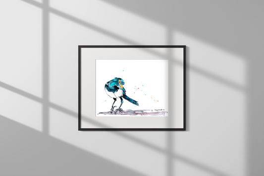 Print - Yellow-billed Magpie with Side Eye