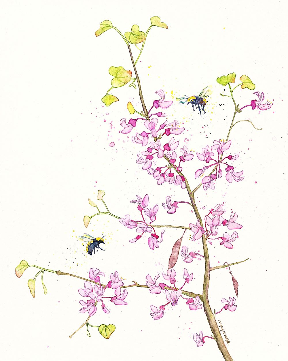 Print - Redbud Blossoms & Bees