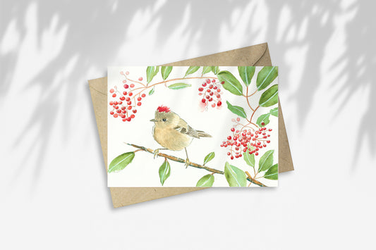 Notecards: Winter Solstice Greeting Cards, 8-Card Box Set