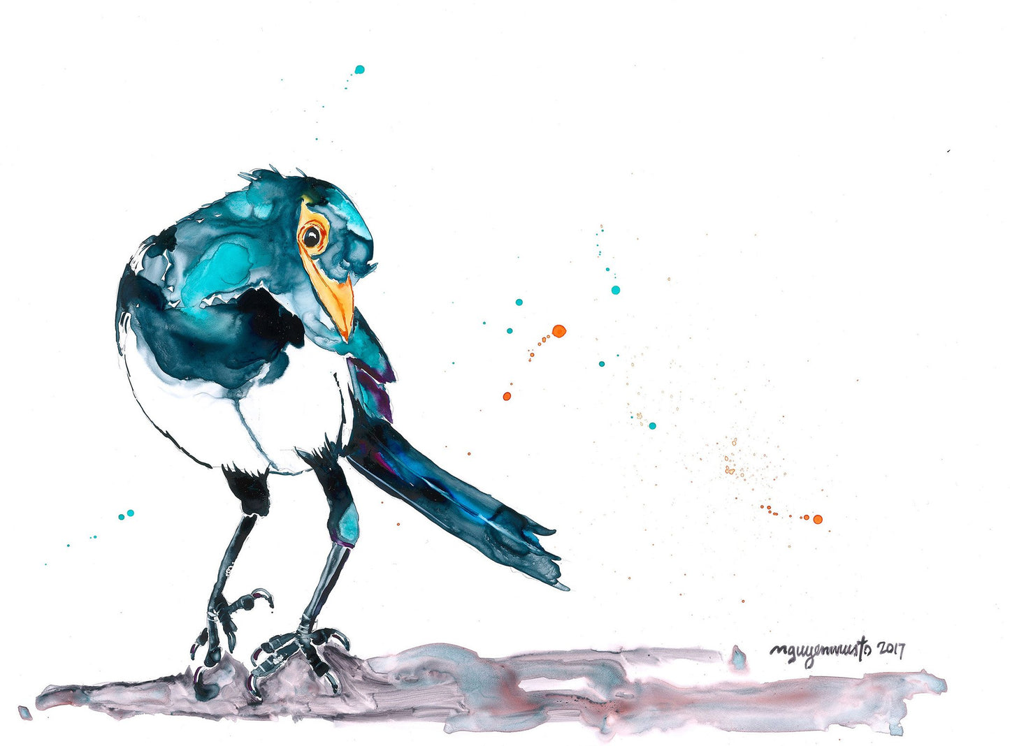 Print - Yellow-billed Magpie with Side Eye