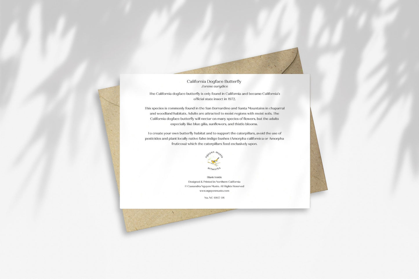 Notecard - California Dogface Butterfly