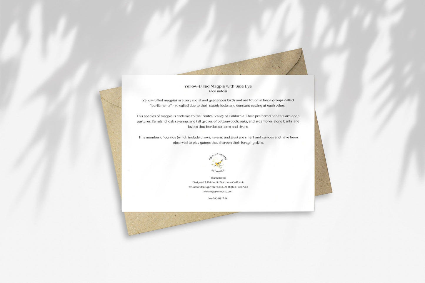 Notecard - Yellow-billed Magpie with Side Eye