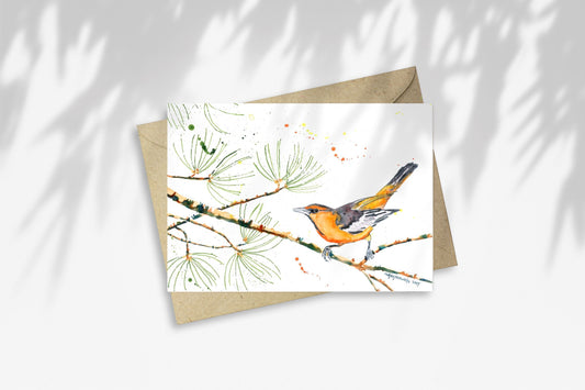 Notecard - Bullock's Oriole in Pine Branch