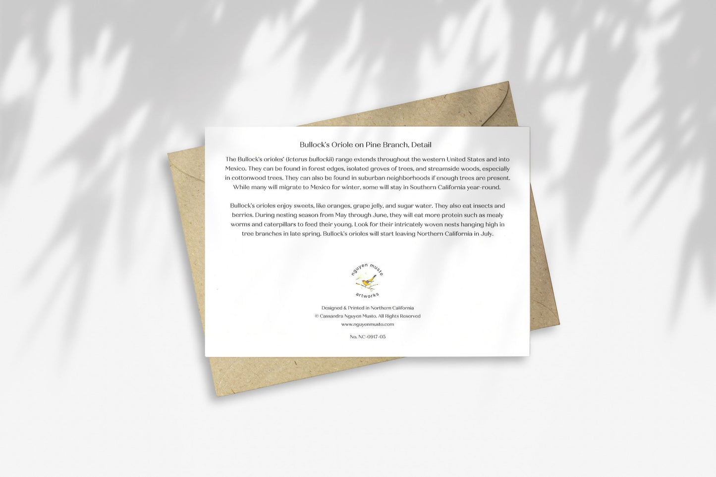 Notecard - Bullock's Oriole in Pine Branch