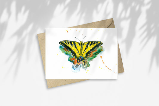 Notecard - Western Tiger Swallowtail Butterfly