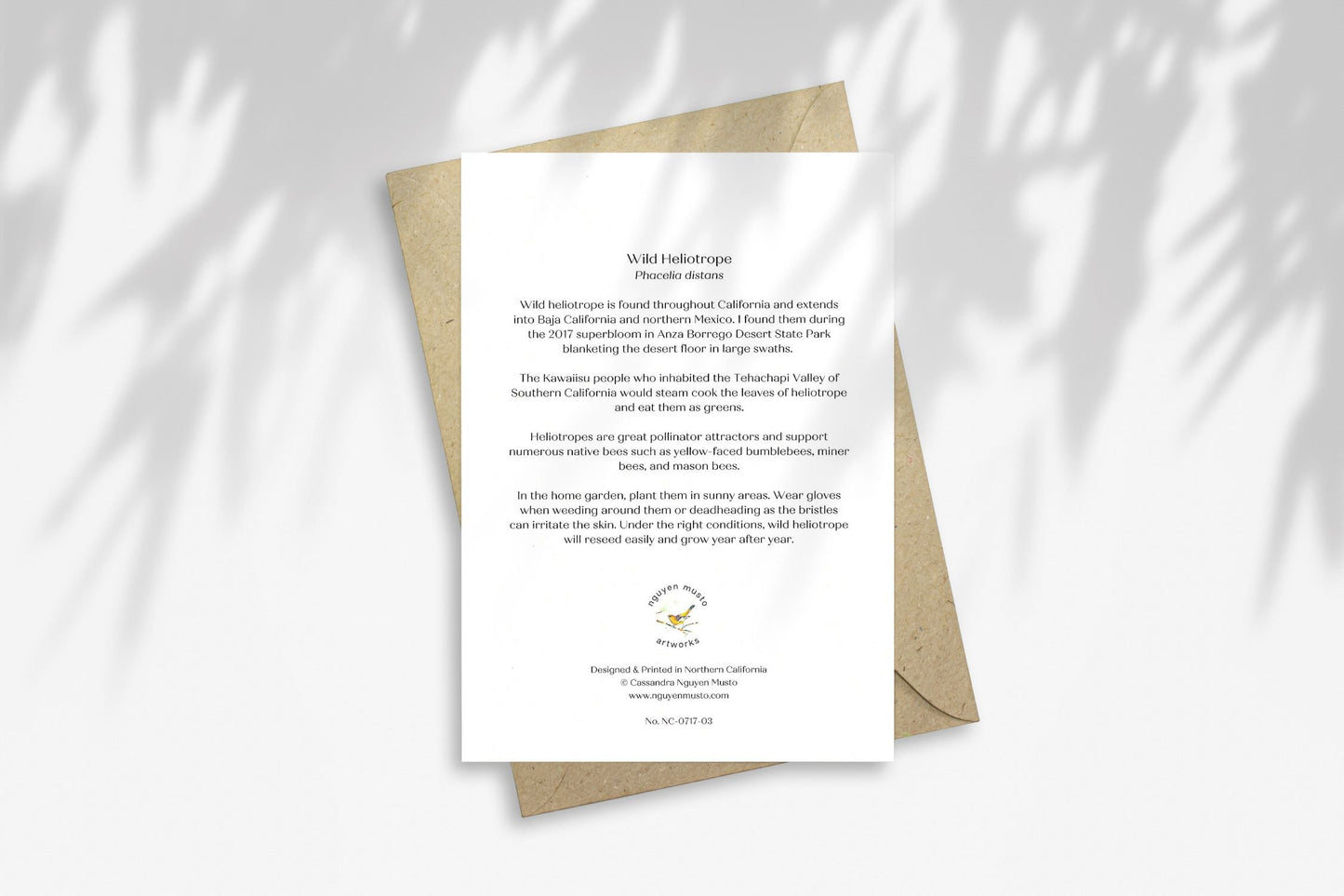 Notecard - Wild Heliotrope