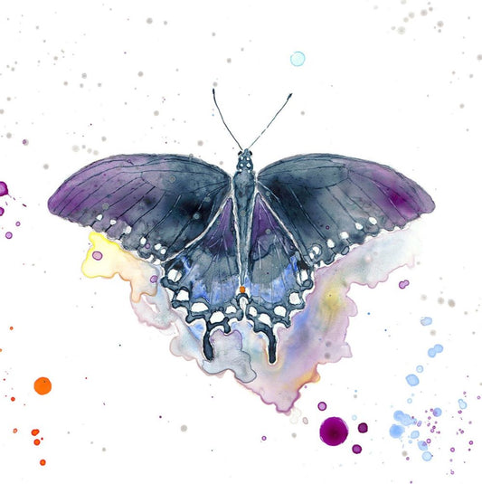 Artwork - California Pipevine Butterfly