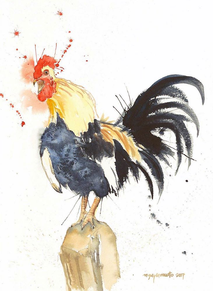 Artwork - Salty Rooster