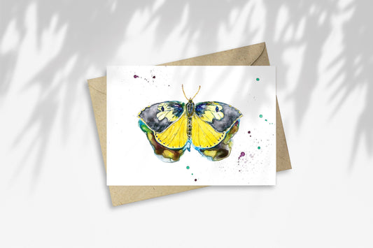 Notecard - California Dogface Butterfly