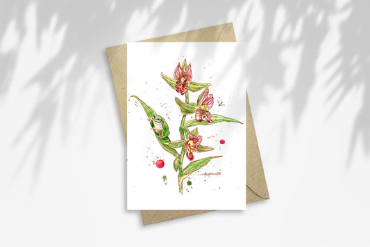 Notecard - Frog, Fly, and Orchids