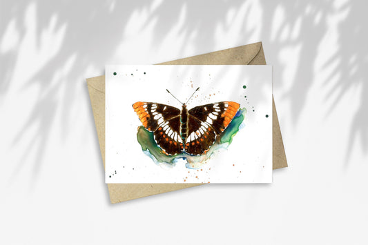 Notecard - Lorquin's Admiral Butterfly