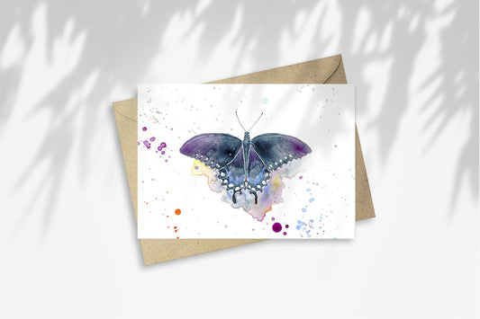 Notecard - California Pipevine Swallowtail Butterfly